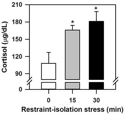 Rightward Tympanic Membrane Temperature Bias During Acute Restraint-Isolation Stress in Marmoset Monkeys